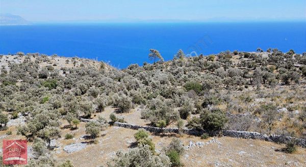 Çökertme'de Lebiderya Gökova Körfezi Manzaralı 6.084m² Arazi