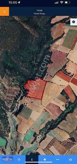 Karacabey Doğlada 610 Ağaçlık 31.938 M Zeytinlik Satılık