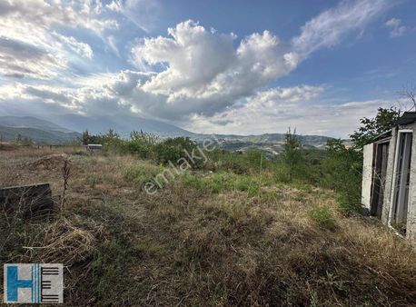 İnegöl Paşaören De Satılık 4288m2 Tek Tapu Hobi Bahçesi