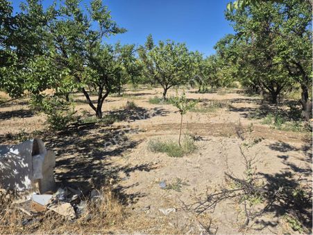 Karakaş Çiftlik Köyü Yatırımlık