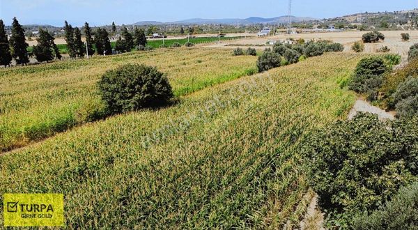 Urla Sıra Mah.de 17.694 M2 Satılık Arazi