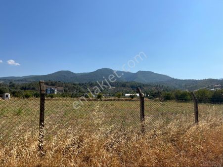 Satıyoruz Yatırımcıların Dikkatine