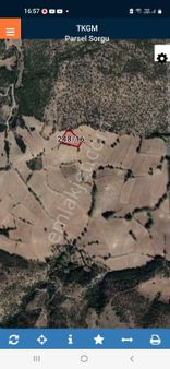 Satılık Tarla Anas Emlak Tan