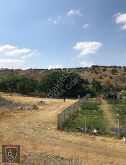 Satılmışoğlu Mh. Tek Tapulu Bağ