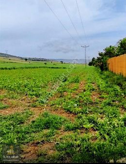Bilecik Eskişehir Yoluna Cepheli Ticari Amaçlı Arsa