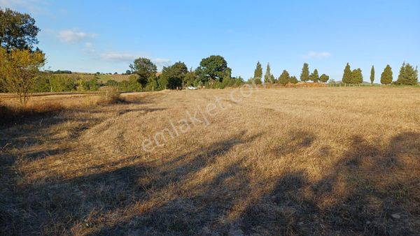 Kocaeli Karamürsel Kızderbent 5.924 M² Yatırımlık Satılık Tarla