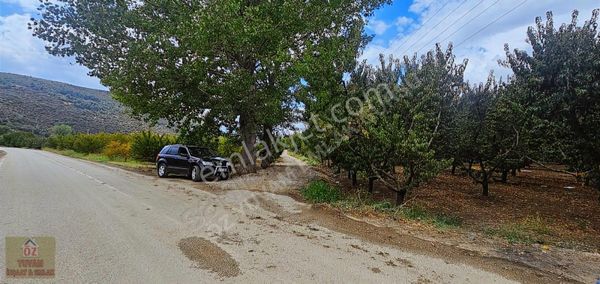 Kestel Serme Köyü Asfalta Cephe Satılık 2.500m2 Şeftali Bahçesi.