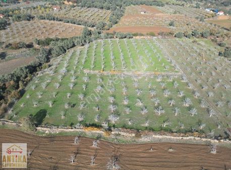 Antika Gayrimenkul'den Üç Konak'da Satılık Bahçe.fırsat İndirim!