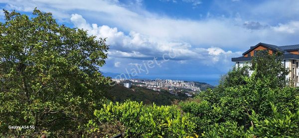 Şahinoğlu Emlaktan, Trabzon O.hisar Bulak'ta 2.202 M2. Deniz Manzaralı Fındıklık.