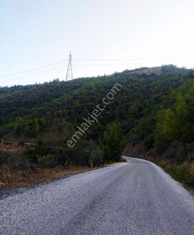 Alanya Çamlıca Da Kupon Tarla