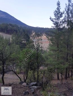 Pozantı Yenikonacık'ta 1498 M2 Tek Tapu Satılık Bağ