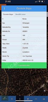 Acar Royal'den Göl Manzaralı Bakımlı Zeytinlik