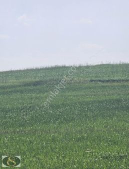 Kahramankazan Soğucak Mh.de 6775m² Tek Tapu