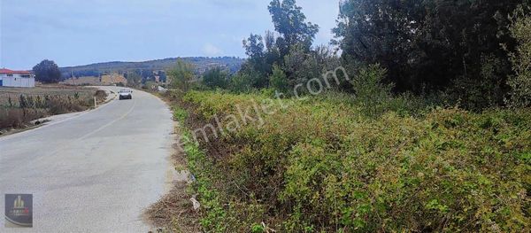 Kandıra Eğercili De 246 M2 Resmi Yollu Yatırımlık Arazi