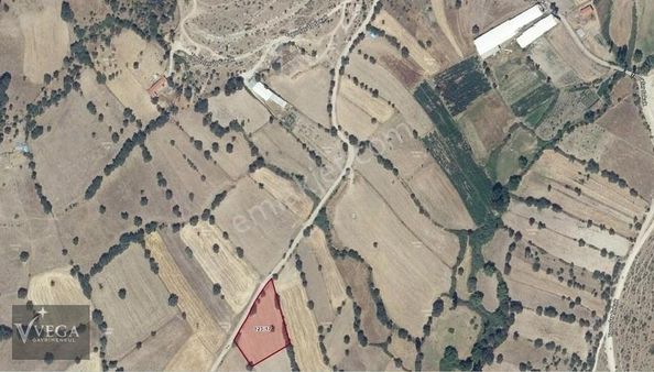 Balıkesir İvrindi Topuzlarda 3461 M2 Kadastrol Yolu Olan Tarla