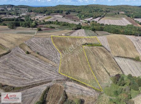Kocaeli Kandıra Kerpe ' De 11.222 M² Satılık Fırsat Tarla