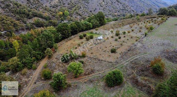 Bolu Mudurnu Dereköy Mevkiinde Satılık Tarla