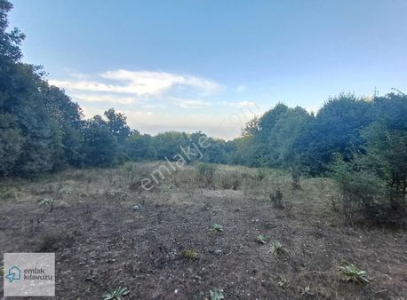 Bolu Mudurnu Dereköy Satılık Tarla