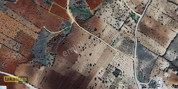 Üçgüze Tek Tapu Resmi Yola Cepheli Manzaralı Fırsat Arazi