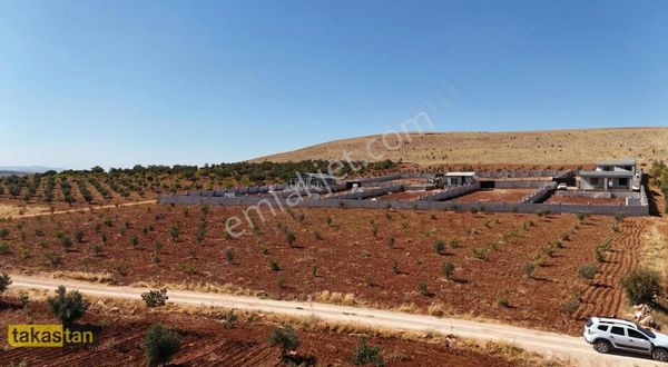 Suboğaz Muhteşem Lokasyonda Doğa Manzaralı Hazır Bağevi Arazisi