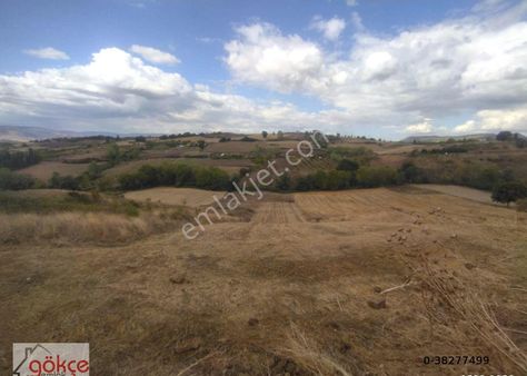 Gökçe Den İhsaniye Köyünde 17250 M2 Satılık Tarla Uygun Fiyat
