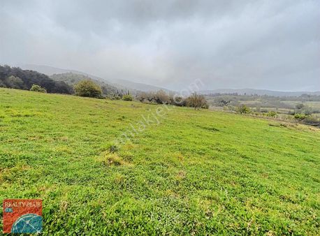 Kocaeli Kandıra Satılık Arsa 3600 M2