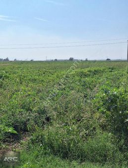 Karacabey Canbalı Da Satılık Yatırımlık Arazi