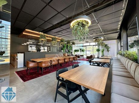 Vadistabul Avm Yanında Lüks 1+1 Suit Vadi Collection Vadi