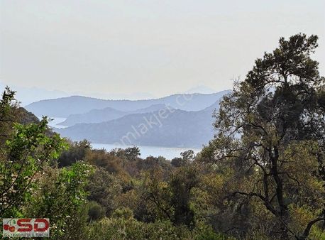 Söğütte Deniz Manzaralı 760 M2 Acil Su Kuyusuda Var