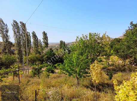 Ankara Yolu Süksün'de 4375 M2 Satılık Evli Tarla