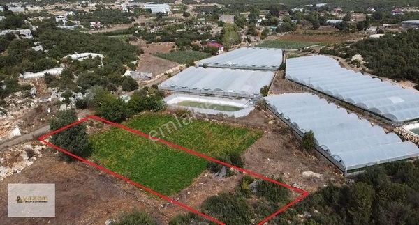 Mersin Erdemli Hüsametli 2 Dönüm Tek Tapu Kırmızı Toprak