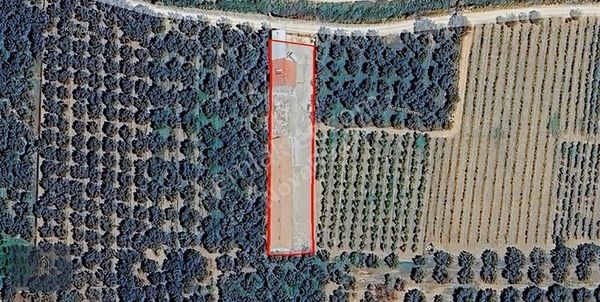 Nova Realty'den İznik Çamdibi'nde Muhteşem Lokasyonlu Bağ