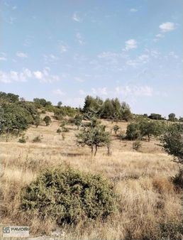 Favori'den Çal Akkent Ana Yol/yatırıma Uygun Müstakil Parsel