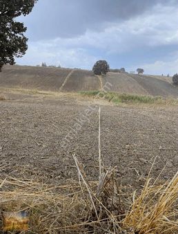 İstanbul Silivri Değirmenköy Sahibinden 72m2 Satılık Arsa