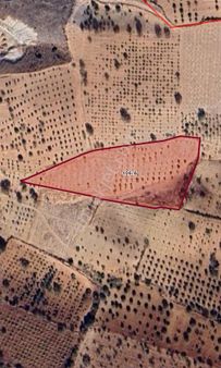 Beymahall Gyo K.hamurkesen 3 Dönüm Zeytin Hissesi