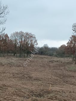 Demircihalil Köyünde Satılık Tarla 4.200 M2 Takas Olur