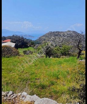 Marmaris Söğüt Sakızalanı Satılık Full Deniz Manzarali Tarla