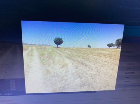 Anka Gayrimenkul'den Mahmudiye'de Satılık Kelepir Bağ