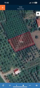 Akbaşlar Emlak Ve Gayrimenkul Güvencesiyle Satılık Tarla