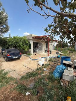 Beymahall Gyo K.hamurkesen 8 Dönüm Yatırımlık Arazi