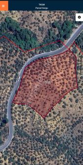 Golden Globy, Havran İnönü'de Anayola Cephe Satılık 14.275 M2 Zeytinlik