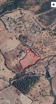 Deniz Gayrimenkul'den Bergama Tiyelti Mah.'de Satılık Zeytinlik