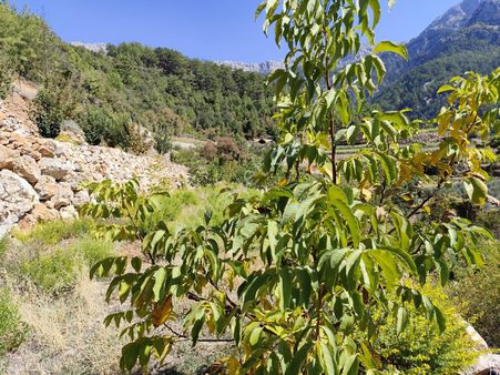 Hobi Bahçesi İçin Doğayla İçiçe Tarla!