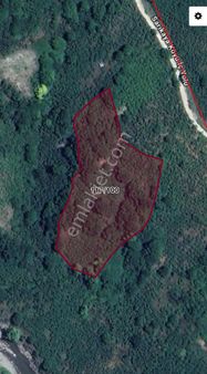 Mys İnşaat Emlaktan Düzce Yıgılca Kırık Köyü Satılık 9670 M2 Fındık Bahçesi