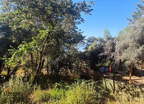 Uzman Gayrimenkul'den Satılık Deniz Kenarı Tapulu Hobi Bahçesi