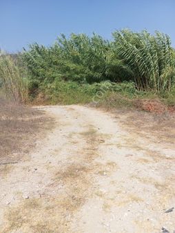 Evrenleryavşi De Satılık Ta