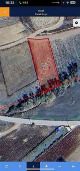 Güzel Arazimiz Birkısmıyüzde35