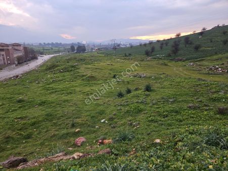 Izmır Tıre Tokı Evlerı Yakını 2900 Mt2 Kat Karşılığı Verılecek Fırsat Arsa!!!