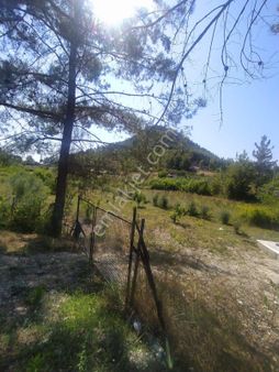 Satılık Tek Tapu Tarla