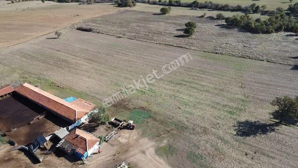 Kırklareli Merkez Karahamza Tek Tapu Yatırımlık Tarla